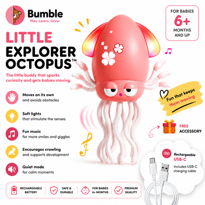 Explorer Octopus -  Fun That Keeps Them Moving