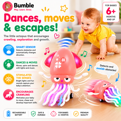 Explorer Octopus -  Fun That Keeps Them Moving